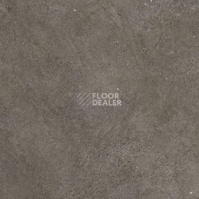 Кварцвиниловые полы Vertigo Trend / Stone & Design 5520 Concrete Dark grey 457.2 мм X 457.2 мм фото 1 | FLOORDEALER